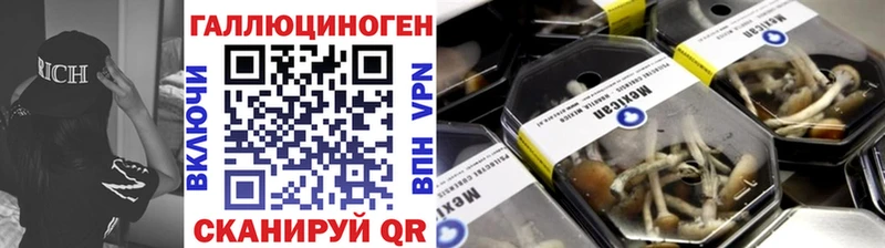 Псилоцибиновые грибы GOLDEN TEACHER  Купить где  Радужный 